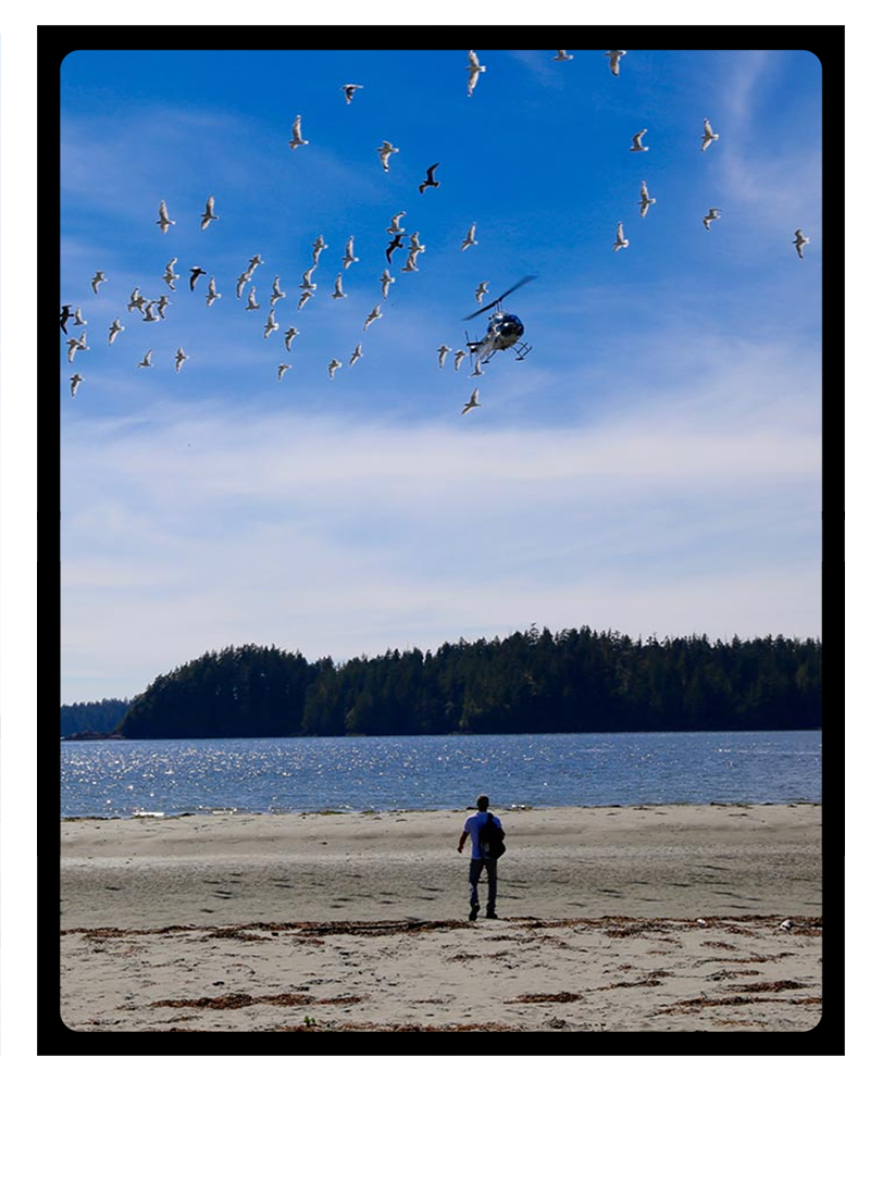 Helicopter to a remote beach with Clayoquot Wilderness Resort.